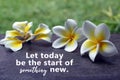 Inspirational quote - Let today be the start of something new. On Bali plumeria flower on green and wooden board backgrounds. Royalty Free Stock Photo