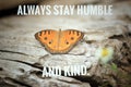 Inspirational quote - Always stay humble and kind. With beautiful orange butterfly on white rustic wooden table background,