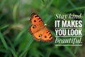 Inspirational quote - Stay kind. It makes you look beautiful. With beautiful orange butterfly flying on green grass background. Royalty Free Stock Photo