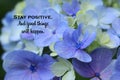 Inspirational quote - Stay positive. And good things will happen. On background of flowers blossom closeup in blue and white.