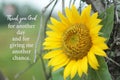 Inspirational quote - Thank you God for another day and for giving me another chance. With beautiful yellow sunflower blossom.