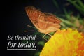 Inspirational quote - Thankful for today. With butterfly on a flower. Gratefulness and gratitude concept with nature. Royalty Free Stock Photo