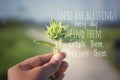 Inspirational quote - There are blessings every day. Find them, create them, treasure them.Young plant of sunflower in hand. Royalty Free Stock Photo
