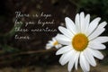 Inspirational quote - There is hope for you beyond these uncertain times. Hope and faith motivational words concept with flower.