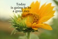 Inspirational quote - Today is going to be a great day. With young sunflower in bloom in the garden closeup. Self affirmation.