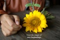 Inspirational quote - trust the magic of new beginnings. With young woman hand, yellow sunflower blossom and its plant. Royalty Free Stock Photo