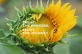 Inspirational quote - Trust the process. Enjoy the journey. With beautiful big sunflower in bloom in the garden closeup on blurry