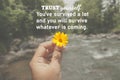 Inspirational quote - Trust yourself. You have survived a lot and you will survive whatever is coming. With yellow flower in hand. Royalty Free Stock Photo