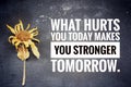 Inspirational quote - What hurt you today makes you stronger tomorrow. Motivational words concept with text message.