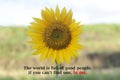 Inspirational quote - The world is full of good people. If you can not find one, be one. On sunflower blossom in field.