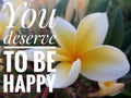 Inspirational quote - You deserve to be happy. On background of beautiful white and yellow Bali frangipani flower plant blossom. Royalty Free Stock Photo