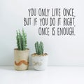 Inspirational quote `You only live once, but if you do it right, once is enough`. Cactus in clay pots over white background. Royalty Free Stock Photo