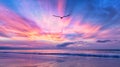 Inspirational Soaring Bird Silhouette Over Beautiful Ocean Sunset Beach Royalty Free Stock Photo
