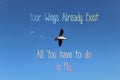 Conceptual Inspirational Image With Bird In Flight