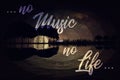 No music - no life Royalty Free Stock Photo