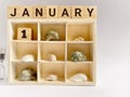 Inspirational Time Concept - January text on wooden blocks background. Stock photo.