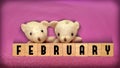 inspirational time concept - word february on wooden blocks with teddy bears in vintage background