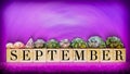 inspirational time concept - word September on wooden blocks with seashells in purple vintage background