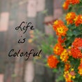 Inspirational Typographic Quote - Life is Colorful