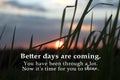 Inspirational words - Better days are coming. You have been through a lot. Now it is time for you to shine. Hope concept.