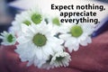 Inspirational words - Expect nothing, appreciate everything. Happiness quote concept with white daisies flower background Royalty Free Stock Photo