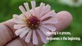 Forgiveness Inspirational words - Healing is a process. Forgiveness is the beginning. With zinnia flower in hand