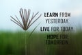 Inspirational words - Learn from yesterday. Live for today. Hope for tomorrow. With wild grass flower on a blue sky background.