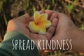 Inspirational words - Spread kindness. With yellow Bali frangipani flower in hands of mother and daughter. Parenting concept.