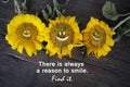 Inspirational words - There is always a reason to smile. Find it. With three happy smiling face on sunflowers.