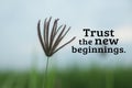 Inspirational words - Trust the new beginnings. With wild grass flower on a blue sky background. Motivational quote concept. Royalty Free Stock Photo