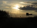 Sunset behind trees with clouds and a road in foreground