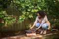 Inspired woman, vintner puts a bunch of grapes in a wooden box standing on the ground near a glass of homemade wine.