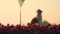 Inspired musician female playing contrabass in flower garden in morning light.
