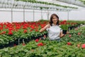 Inspired smiling young woman florist holding flowers of begonia in greenhouse. Female gardener working with plants Royalty Free Stock Photo