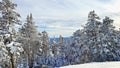 Inspiring beauty of Winter in Southern Vermont snow covered pine trees is ease in the foreground and a vista view in the distance