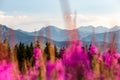 Inspiring Mountains Landscape Panorama, beautiful summer day in Tatras Royalty Free Stock Photo