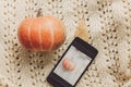 Instagram blogging concept. phone with photo of pumpkin and leaf