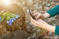 instagram photographer blogging concept. hands holding phone and taking photo of bouquet of the first spring flowers