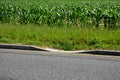 Installation of concrete curbs with gaps that let water into the park into the ditch, where it seeps into the grass and does not d