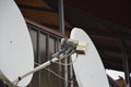 Installation and configuration of a satellite dish for receiving a television signal Royalty Free Stock Photo