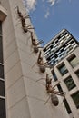 Installation featuring huge ants climbing up the wall