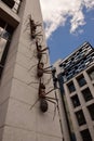 Installation featuring huge ants climbing up the wall