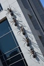 Installation featuring huge ants climbing up the wall