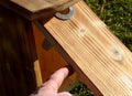 Installation and inspection of birdhouses on trees for spring nesting. A man in an overall fitter takes an ornithologist up a ladd