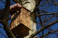 Installation and inspection of birdhouses on trees for spring nesting. A man in an overall fitter takes an ornithologist up a ladd