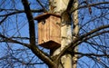 Installation and inspection of birdhouses on trees for spring nesting. A man in an overall fitter takes an ornithologist up a ladd