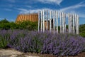 Installation in purple flower border with First Nations Huron-Wendat museum-hotel complex Royalty Free Stock Photo