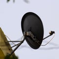 Installed Satellite dish or DTH or Direct to home tv on the roof