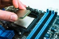 Installing the CPU into the motherboard Royalty Free Stock Photo