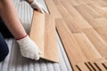 Installing laminated floor, detail on man hands with white gloves fitting wooden tile, over white foam base layer Royalty Free Stock Photo